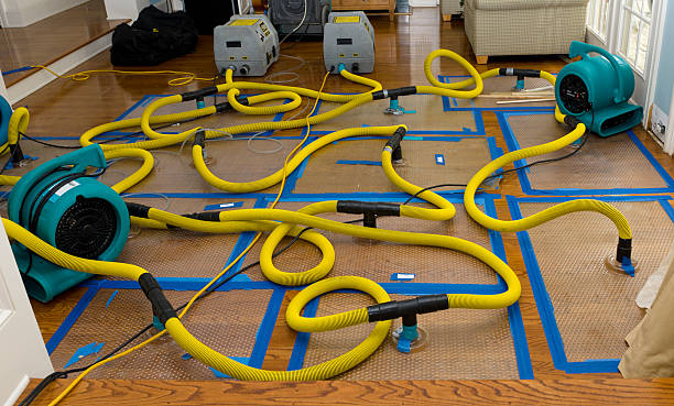 Professional Structural Drying And Dehumidification technician working in Loudon, TN